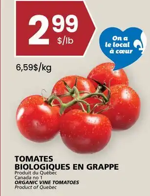 Rachelle-Bery Grocery ORGANIC VINE TOMATOES offer