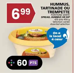 Rachelle-Bery Grocery FONTAINE SANTÉ SPREAD, HUMMUS OR DIP offer