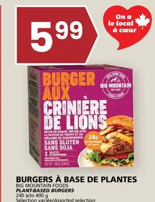 Rachelle-Bery Grocery BIG MOUNTAIN FOODS PLANT-BASED BURGERS offer