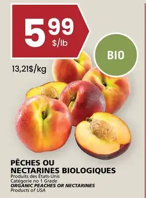 Rachelle-Bery Grocery ORGANIC PEACHES OR NECTARINES offer