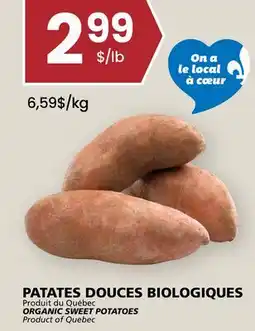 Rachelle-Bery Grocery ORGANIC SWEET POTATOES offer