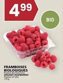 Rachelle-Bery Grocery ORGANIC RASPBERRIES offer