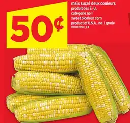 Maxi MAÏS SUCRÉ DEUX COULEURS | SWEET BICOLOUR CORN offer