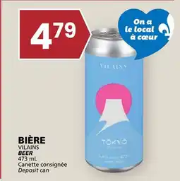 Rachelle-Bery Grocery VILAINS BEER offer