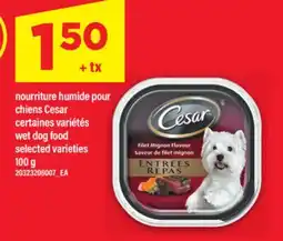 Maxi NOURRITURE HUMIDE POUR CHIENS CESAR | WET DOG FOOD, 100 G offer