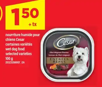Maxi NOURRITURE HUMIDE POUR CHIENS CESAR | WET DOG FOOD, 100 G offer