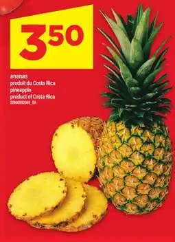 Maxi ANANAS | PINEAPPLE offer