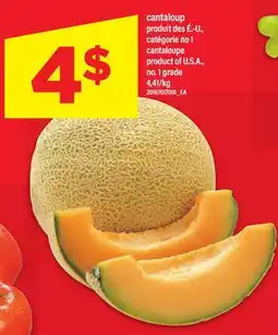 Maxi CANTALOUP | CANTALOUPE offer