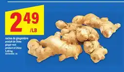 Maxi RACINE DE GINGEMBRE | GINGER ROOT offer