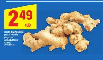 Maxi RACINE DE GINGEMBRE | GINGER ROOT offer