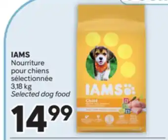 Brunet IAMS Nourriture pour chiens sélectionnée offer