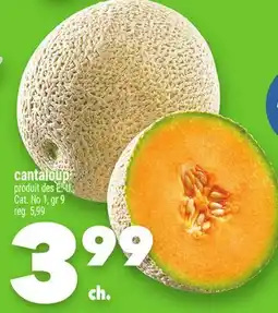 Marche Ami CANTALOUP offer