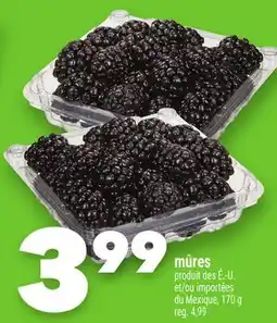 Marche Ami MÛRES offer
