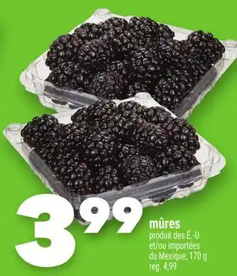 Marche Ami MÛRES offer