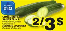 Marches Tradition SEEDLESS CUCUMBER offer