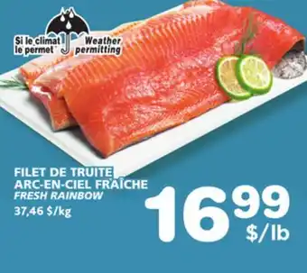 Marches Tradition FRESH RAINBOW offer
