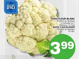 Marches Tradition WHITE CAULIFLOWER offer