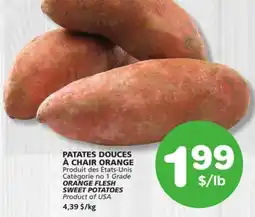 Marches Tradition ORANGE FLESH SWEET POTATOES offer