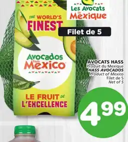 Marches Tradition HASS AVOCADOS offer