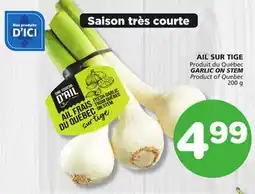 Marches Tradition GARLIC ON STEM offer