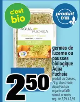 Super C GERMES DE LUZERNE OU POUSSES BIOLOGIQUE AQUA FUCHSIA | AQUA FUCHSIA ORGANIC ALFALFA SPROUT OR ROOTS offer