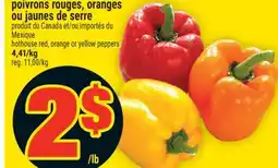 Super C POIVRONS ROUGES, ORANGES OU JAUNES DE SERRE | HOTHOUSE RED, ORANGE OR YELLOW PEPPERS offer