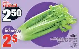 Super C CÉLERI | CELERY offer