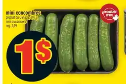 Super C MINI CONCOMBRES | MINI CUCUMBERS offer