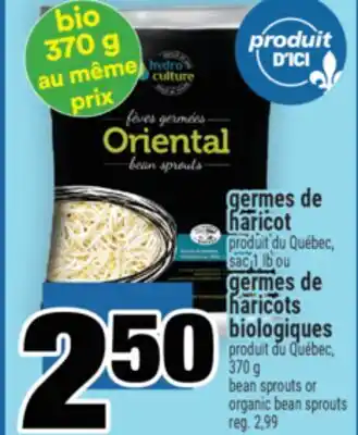Super C GERMES DE HARICOT OU GERMES DE HARICOTS BIOLOGIQUES | BEAN SPROUTS OR ORGANIC BEAN SPROUTS offer