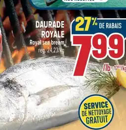 Marché Adonis NOS RECETTES DAURADE ROYALE | ROYAL SEA BREAM offer