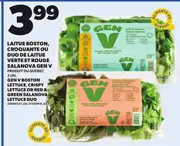 Provigo GEN V BOSTON LETTUCE, CRISPY LETTUCE OR RED & GREEN SALANOVA LETTUCE DUO, 2 UN offer