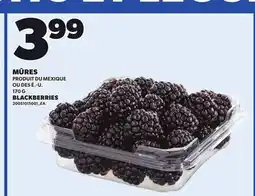 Provigo MÛRES 170 G offer