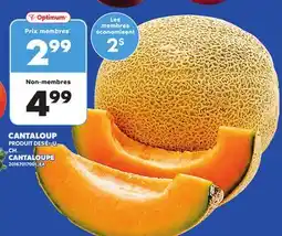 Provigo CANTALOUP offer