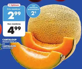Provigo CANTALOUP offer