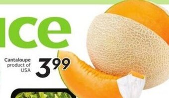 Safeway Cantaloupe offer