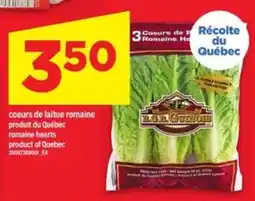 Maxi cœurs de laitue romaine offer