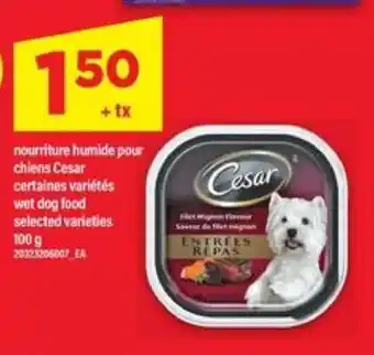 Maxi CESAR offer