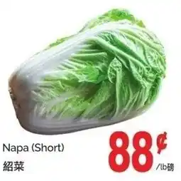 T&T Supermarket Napa offer