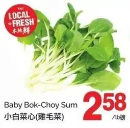 T&T Supermarket Baby bok choy sum offer