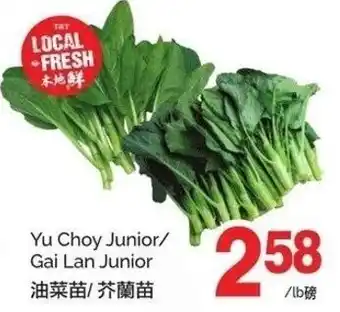 T&T Supermarket Yu choy junior gai lan junior offer