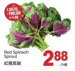 T&T Supermarket Red spinach sprout offer