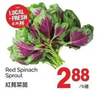T&T Supermarket Red spinach sprout offer
