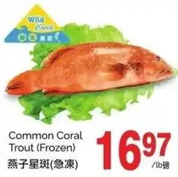 T&T Supermarket Common coral trout offer