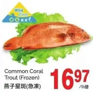 T&T Supermarket Common coral trout offer