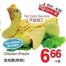 T&T Supermarket Chicken offer