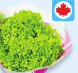 Walmart Living Lettuce offer