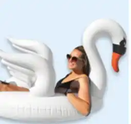 Walmart Novelty Pool Float offer