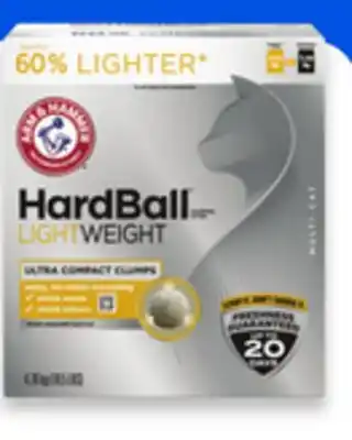 Walmart Arm & Hammer Premium Cat Litter offer