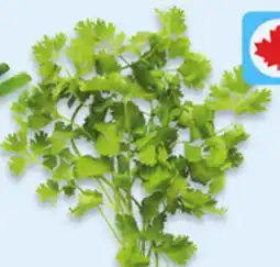 Walmart Cilantro offer