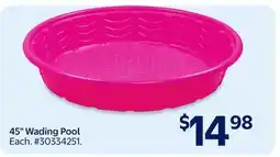 Walmart 45 Wading Pool offer